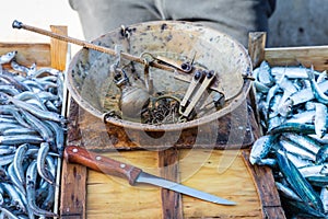 A scale for selling fish at the docks in the town of Trapani