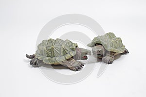 a scale of toy turtle isolated on white background