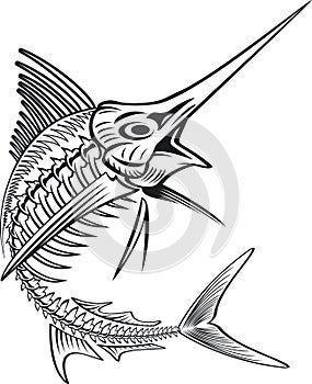 Vector illustration of skeleton marlin photo