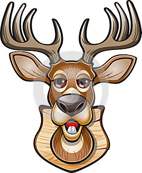 Whitetail deer buck head mounted on wooden shield photo