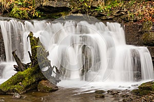 Scaleber Force close up