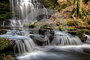 Scaleber Force falls