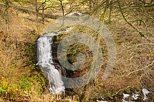 Scaleber Foss