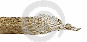 Scaled skin of snake on white background, macro photo. Reptile scale pattern. Shedded dry snake skin closeup. Molting snake.