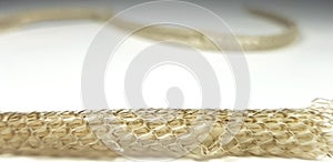Scaled skin of snake on white background, macro photo. Reptile scale pattern. Shedded dry snake skin closeup. Molting snake. photo