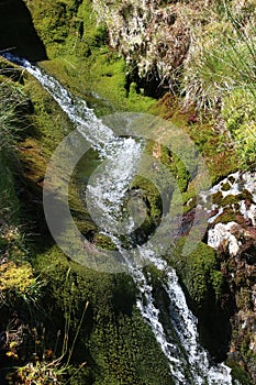 Scales Beck, stream flowing over moss on hillside