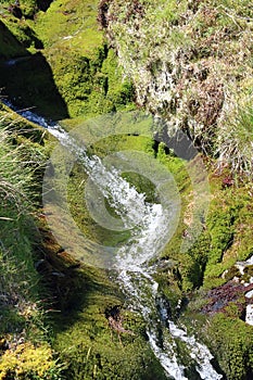 Scales Beck, stream flowing over moss on hillside