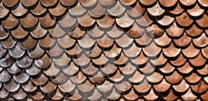 Scales brown background texture