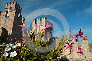 Scaliger Castle, Sirmione, Italy. The Scaliger castle of Sirmione is a fortress from the Scaliger era