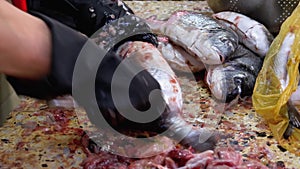 Scaling and Cutting Fish in Market Stall. Woman Manual cleaning and Cuts Fresh Fish