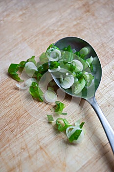 Scallion photo