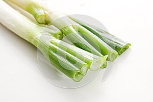 Scallion photo