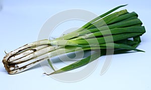 Scallion or daun bawang photo