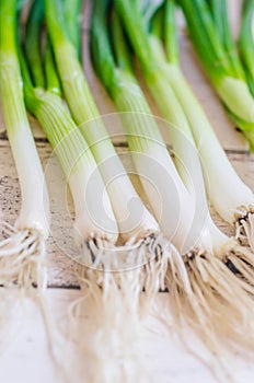 Scallions