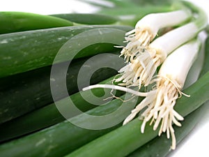 Scallions