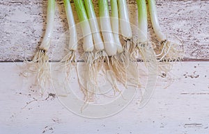 Scallions