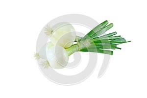 Scallions or green onions or spring onions bunch isolated on white. Transparent png additional format photo