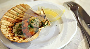 Scallop Gratin with lemon and parsley in Italian seafood restaurant