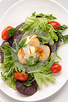 Scallop Salad With Saffron Dressing