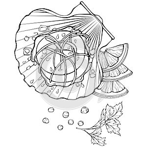 Scallop sea food line art