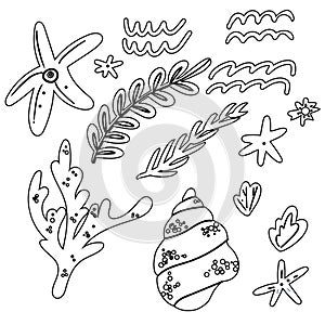 Set sea shell, sketch style vector illustration isolated on white background, hand drawing of saltwater scallop seashell, clam,