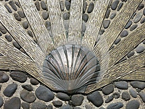 Scallop Shell Camino