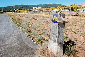 Scallop shell and yellow arrow. The way to Santiago de Compostela