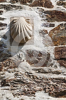 Scallop on stone wall