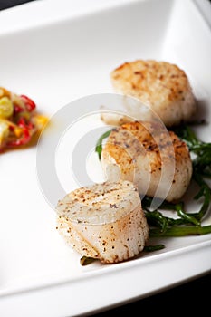 Scallops