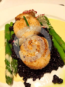 Scallops in black rice