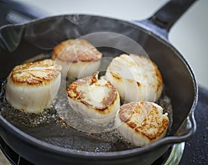 Scallops cooking in cast iron pan