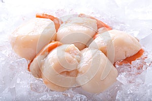 Scallops on ice