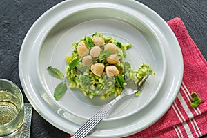 Scallops on minted pea risotto