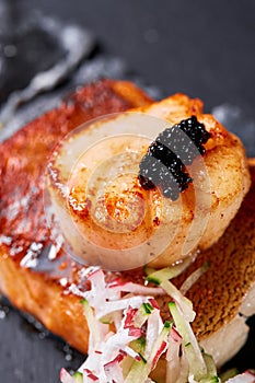 Scallops and ravioli. Seafood, pike perch fish, caviar and black dumplings in a plate on a dark table close-up. Healthy