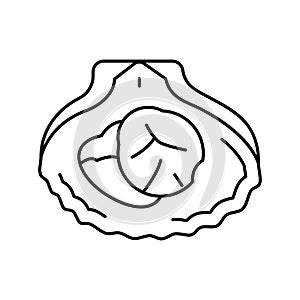 scallops seafood line icon vector illustration