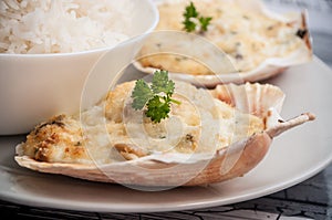 Scallops shell and rice in a plate