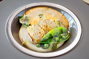 Scallops with shrimp foam, cauliflower cream and green peas on a plate. Delicious healthy seafood closeup served for