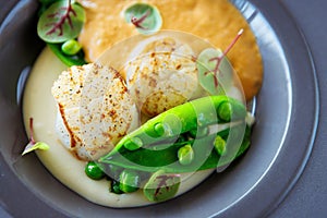 Scallops with shrimp foam, cauliflower cream and green peas on a plate. Delicious healthy seafood closeup served for