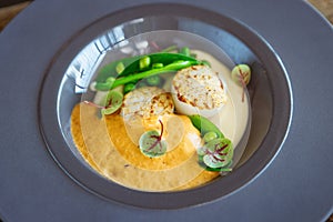 Scallops with shrimp foam, cauliflower cream and green peas on a plate. Delicious healthy seafood closeup served for