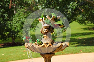 Scaly-breasted Lorikeet birds splashing in fountain in park