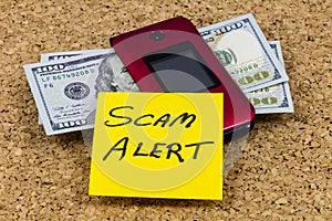 Scam alert online computer cell phone financial security threat