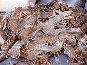 Scampi or prawns on sale at Kalloni Lesvos Greece