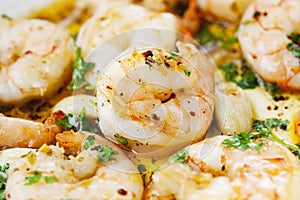 Scampis, olive oil and herbs