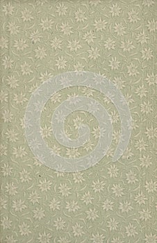 Scan the flyleaf of an old book, green-gray-brown, with dense and intricate floral pattern.