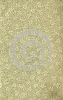 Scan the flyleaf of an old book, green-gray-brown, with dense and intricate floral pattern.