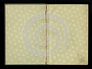 Scan the flyleaf of an old book, green-gray-brown, with dense and intricate floral pattern.