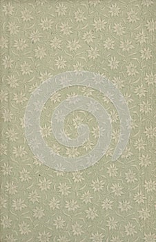 Scan the flyleaf of an old book, green-gray-brown, with dense and intricate floral pattern. photo