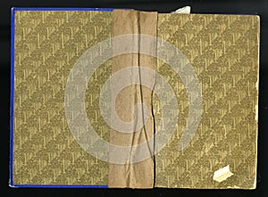 Scan the flyleaf of an old book, yellow brown, with dense and intricate floral pattern.