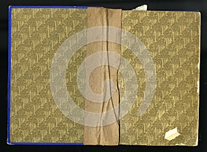 Scan the flyleaf of an old book, yellow brown, with dense and intricate floral pattern. photo