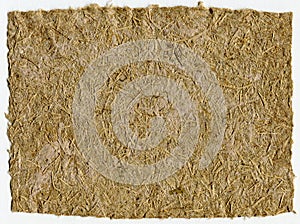 Scan of handmade herbal paper with dried grass texture